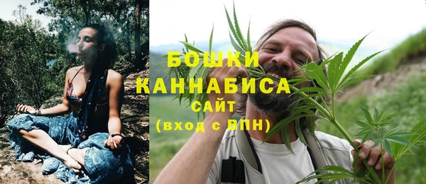 мдпв Богородск