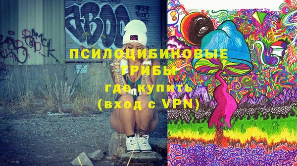 соль курить ск Богданович