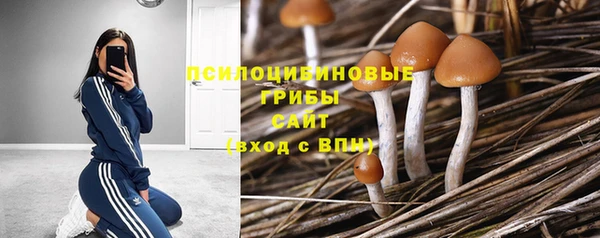 кристаллы Богородицк