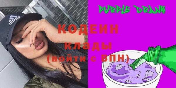 мдпв Богородск
